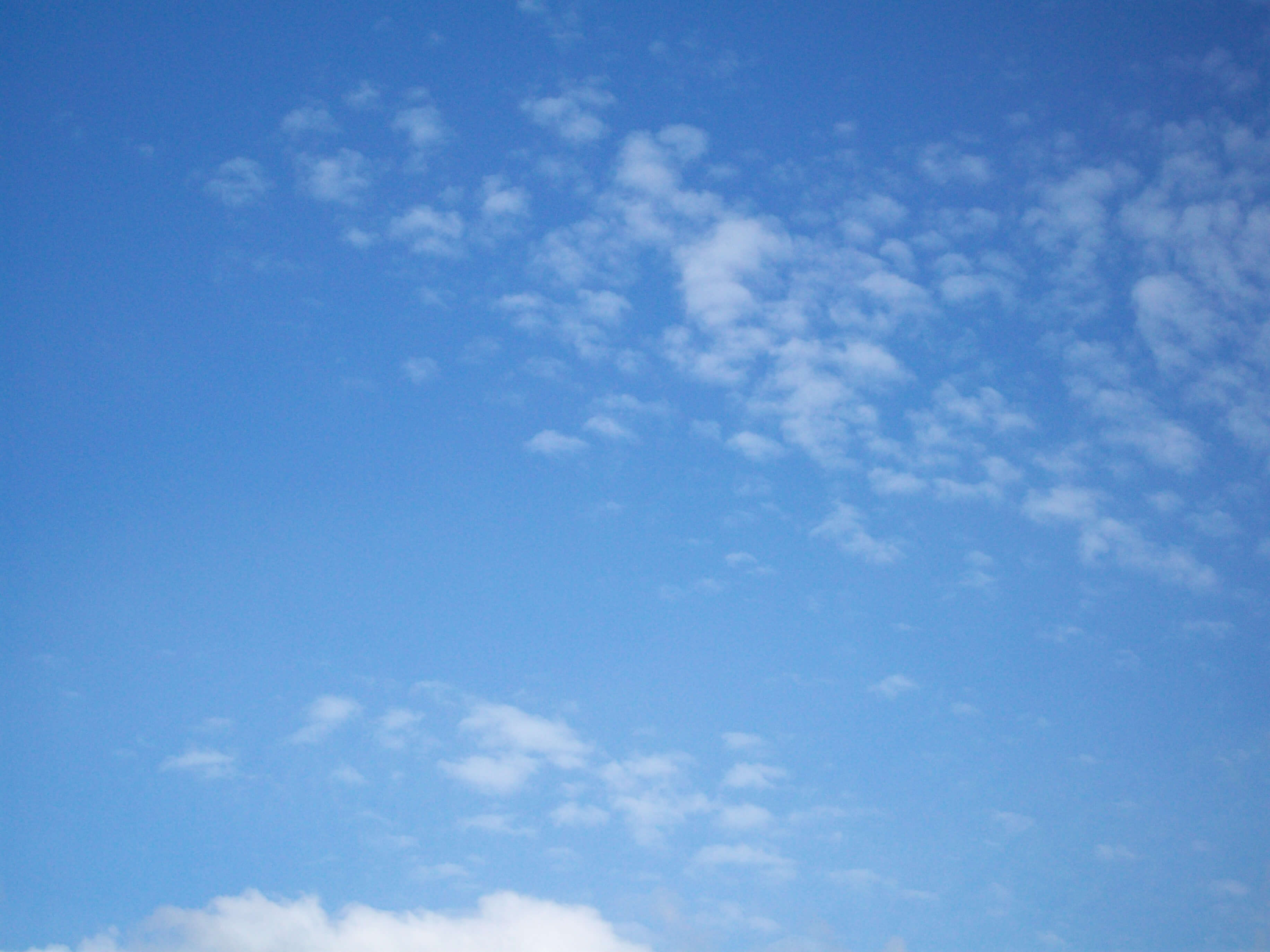 Enlightenment Ross Pepper Coaching (1)